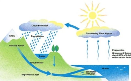 Water Cycle Diagram
